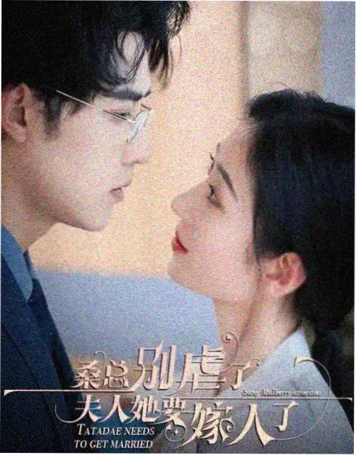 久久综合一区二区 最新电视剧